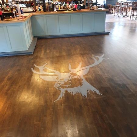 The Roebuck Inn Southampton Exterior foto